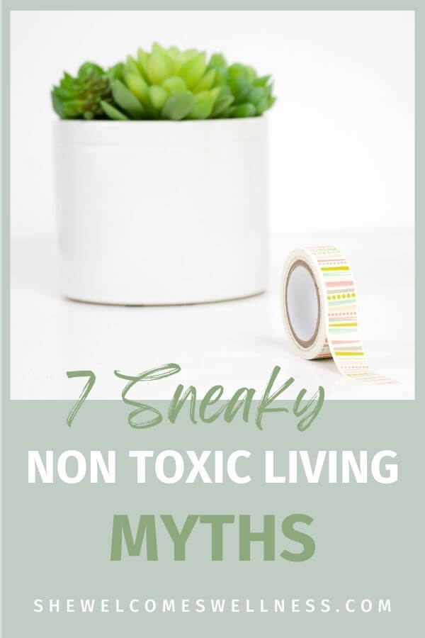 Pinterest pin; green succulent plant, text 7 Sneaky Myths About Non Toxic Living