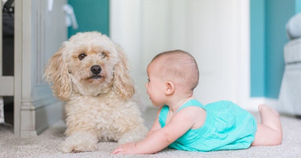 baby and dog laying on floor